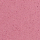 Pianka dekoracyjna EVA sheet 2mm 20x30cm – , Pastel rose