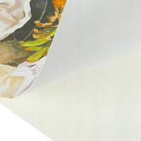 Blok papieru Phoenix 180 g/m², 60 arkuszy – różne formaty