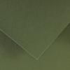 CANSON Colorline papier kolorowy 50 x 65 cm 150 g - 10H – Zieleń khaki 89