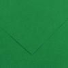 CANSON Colorline papier kolorowy 50 x 65 cm 150 g - 10H – Zielony mech 30