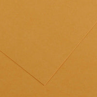 CANSON Iris Vivaldi papier kolorowy 50 x 65 cm, 240 g – Skóra 32
