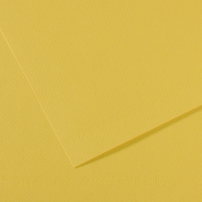 Canson Mi-Teintes papier do pasteli 50 x 65 cm 160 g 25 ark. – Anyż