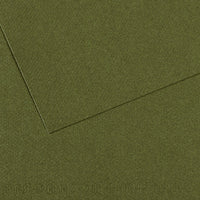 Canson Mi-Teintes papier do pasteli 50 x 65 cm 160 g 25 ark. – Bluszcz 448