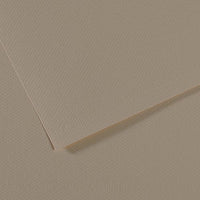 Canson Mi-Teintes papier do pasteli 50 x 65 cm 160 g 25 ark. – Ostrygowy 340