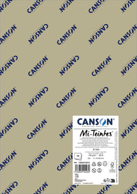 Papier do pasteli Canson Mi-Teintes A3 160 g - 10 arkuszy – Perła 343