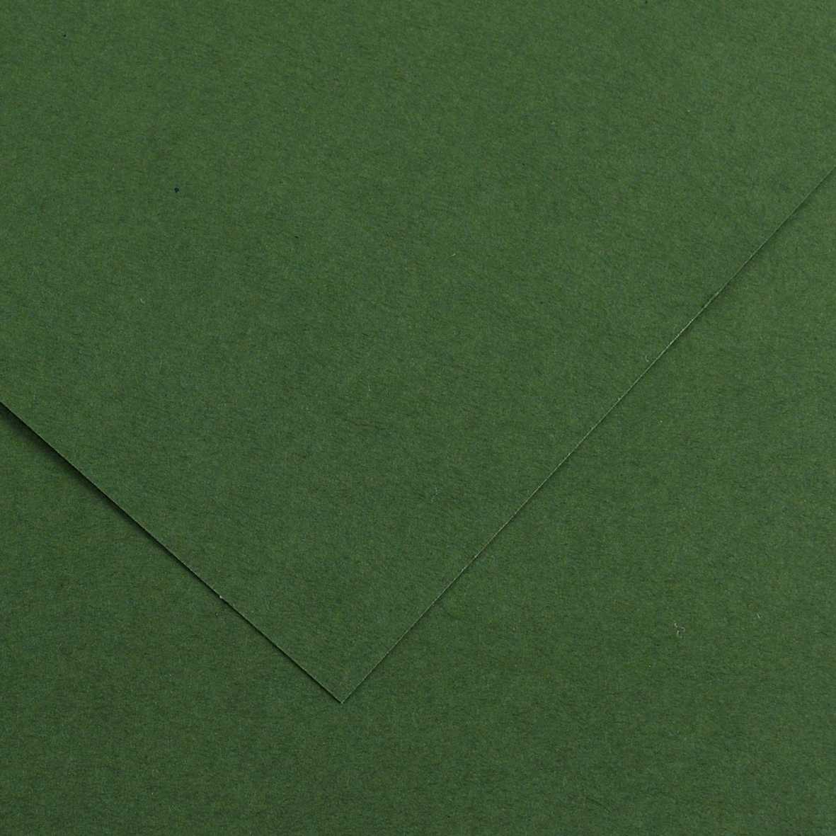 Papier kolorowy CANSON Vivaldi A3 185 g - 50 ark. – Jodłowy 31