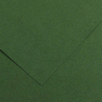 Papier kolorowy CANSON Vivaldi A3 185 g - 50 ark. – Jodłowy 31
