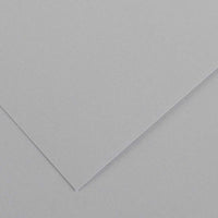 Papier kolorowy CANSON Iris Vivaldi A4 185 g - 50 arkuszy – Jasnoszary 35