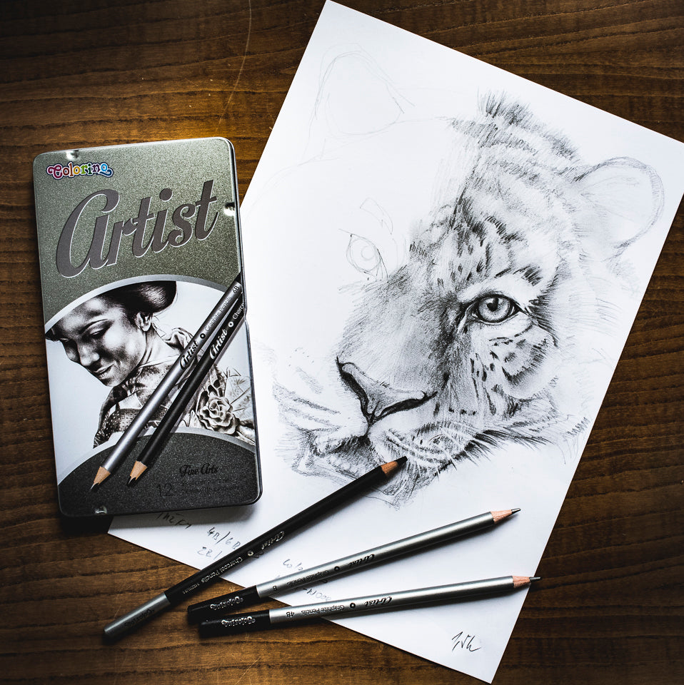 Colorino Artist zestaw do rysowania ołówków grafitowych i węgli w metalowym piórniku