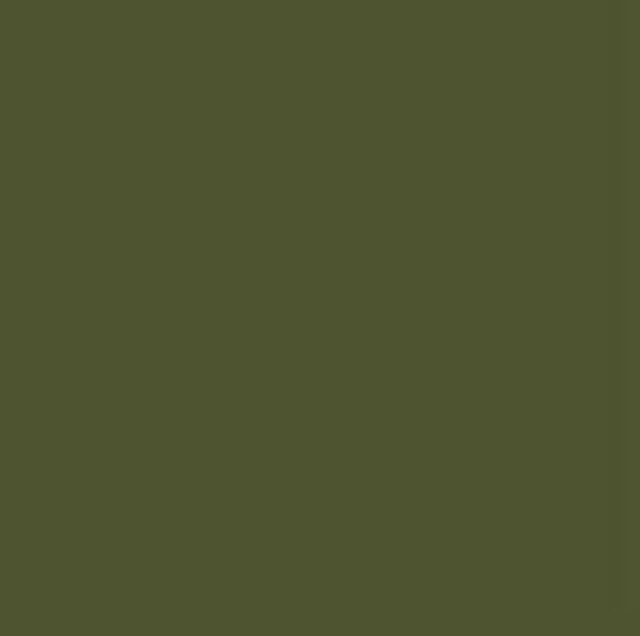 Dekoracyjna farba kredowa Chalky Pentart 100 ml – 29338 - thorn