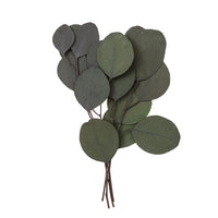 Eukaliptus stabilizowany Populus - zielony / 4 łodygi, 20 cm | Artmie