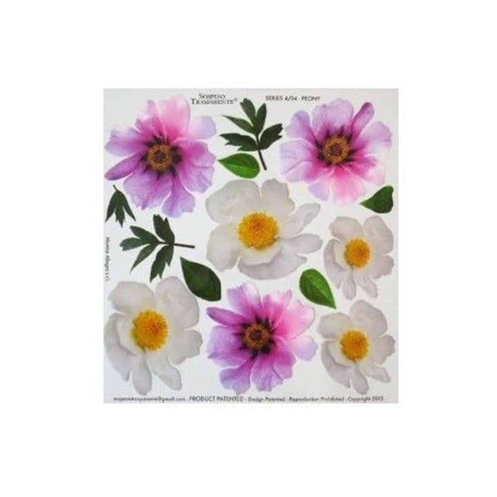 Folia do techniki sospeso przezroczysta 23x24 cm Peony | artmie.pl