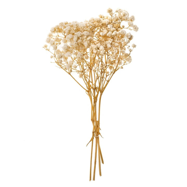 Gipsówka naturalna / 4 łodygi, 20 cm | Artmie