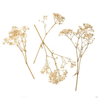 Gipsówka naturalna / 4 łodygi, 20 cm | Artmie