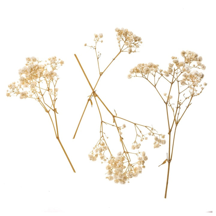 Gipsówka naturalna / 4 łodygi, 20 cm | Artmie