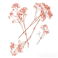 Gypsophila jasnoróżowa - 4 łodygi, 20 cm | Artmie