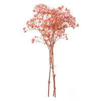 Gypsophila jasnoróżowa - 4 łodygi, 20 cm | Artmie