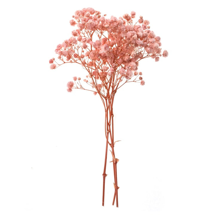 Gypsophila jasnoróżowa - 4 łodygi, 20 cm | Artmie