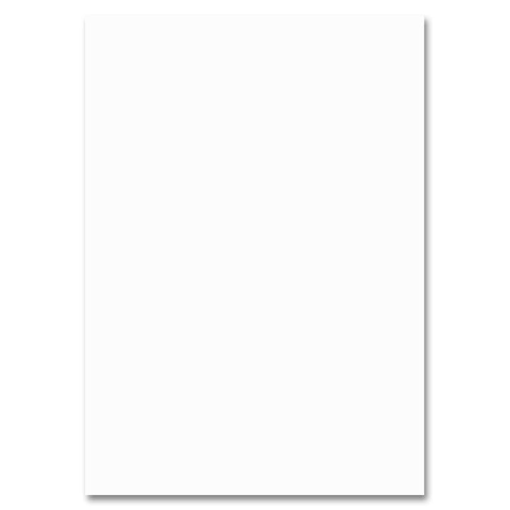 Karton fotograficzny 50x70cm | różne kolory | Artmie