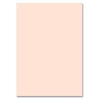 Karton fotograficzny 50x70cm | różne kolory | Artmie