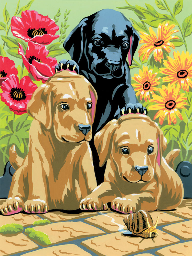 Malowanie według liczb - Labradory Royal & Langnickel / format A4 | Artmie