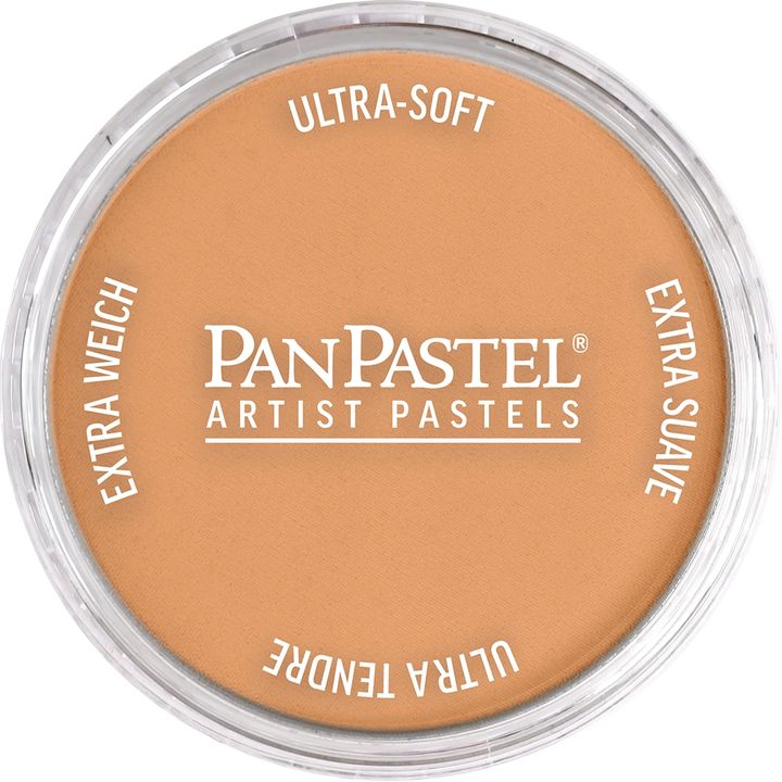 Metaliczny suchy pastel PanPastel 9 ml | różne odcienie