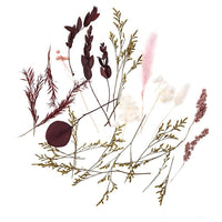 Mini suszony bukiet "Burgundy Queen" / 20 cm | Artmie