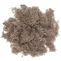 Naturalny mech chrobotek 30 g | różne odcienie | Artmie