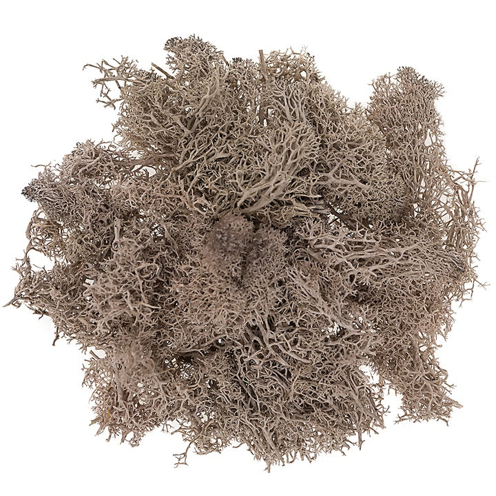 Naturalny mech chrobotek 30 g | różne odcienie | Artmie