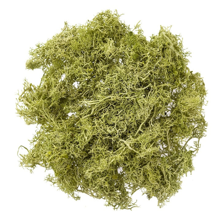 Naturalny mech chrobotek 30 g | różne odcienie | Artmie
