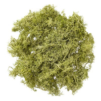 Naturalny mech chrobotek 30 g | różne odcienie | Artmie