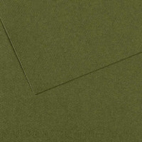 Papier barwiony CANSON Mi-Teintes 50 x 65 cm – 160 g/m² – Bluszcz 448