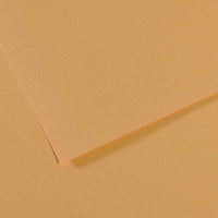 Papier barwiony CANSON Mi-Teintes 50 x 65 cm – 160 g/m² – Ostrygowy 340