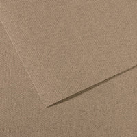 Papier barwiony CANSON Mi-Teintes 50 x 65 cm – 160 g/m² – Stalowoszary 431