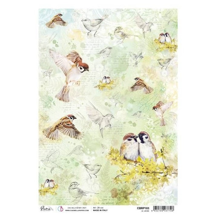 Papier ryżowy - Birds ptaki / A4 | Artmie