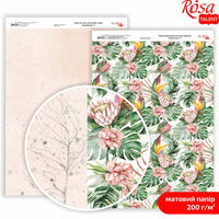 Papiery do scrapbookingu King Protea A4 | różne motywy | Artmie