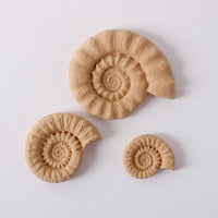 Pentart Elastic wood Shell set muszle 6,5 x 5,5 cm 3 szt.