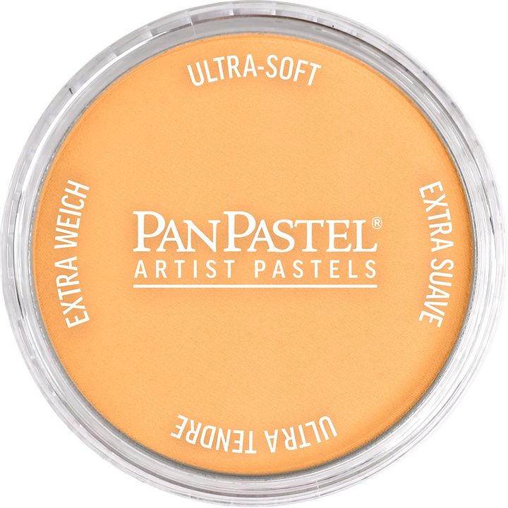 Perłowy suchy pastel PanPastel 9 ml | różne odcienie | Artmie