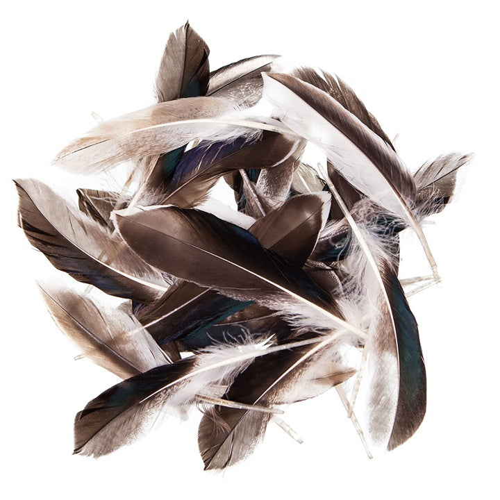 Piórka kacze dekoracyjne / 10 - 15 cm, 10 g | Artmie