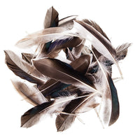 Piórka kacze dekoracyjne / 10 - 15 cm, 10 g | Artmie