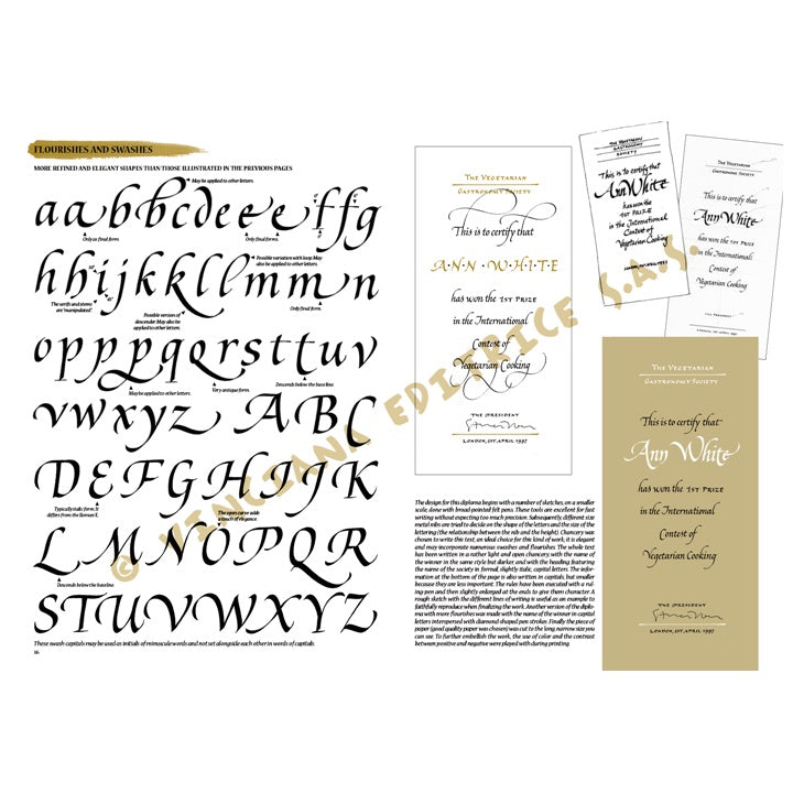Przewodnik po kaligrafii Leonardo Collection 37 | Artmie