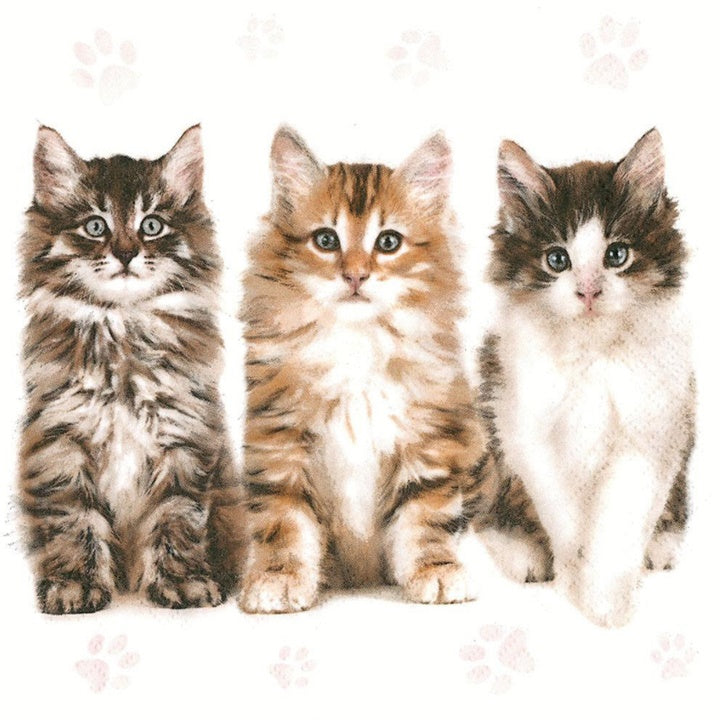 Serwetki do Decoupage Beautiful Cats  / 1 szt | Artmie