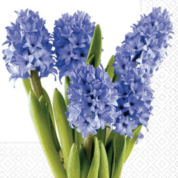 Serwetki do Decoupage - Hyacinths / 1 szt | Artmie