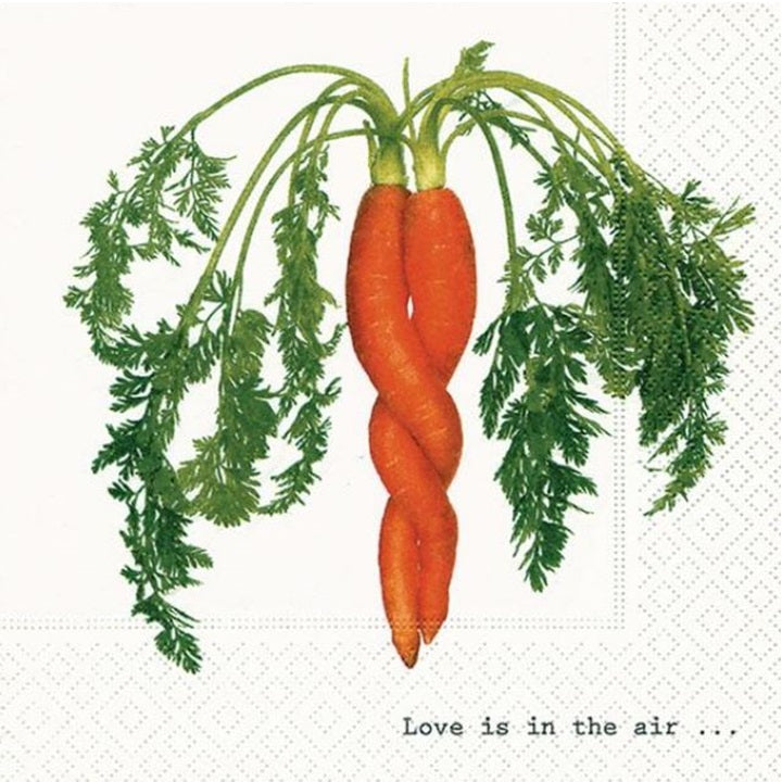 Serwetki do Decoupage -  Intertwined Carrot / 1 szt | Artmie