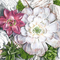 Serwetki do Decoupage  Succulent Plants and Stones Composition/ 1 szt | Artmie
