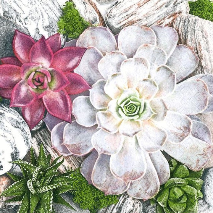 Serwetki do Decoupage  Succulent Plants and Stones Composition/ 1 szt | Artmie