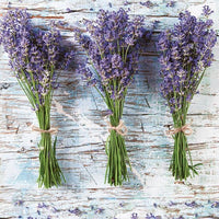 Serwetki do Decoupage - Lawenda / 1 szt | Artmie