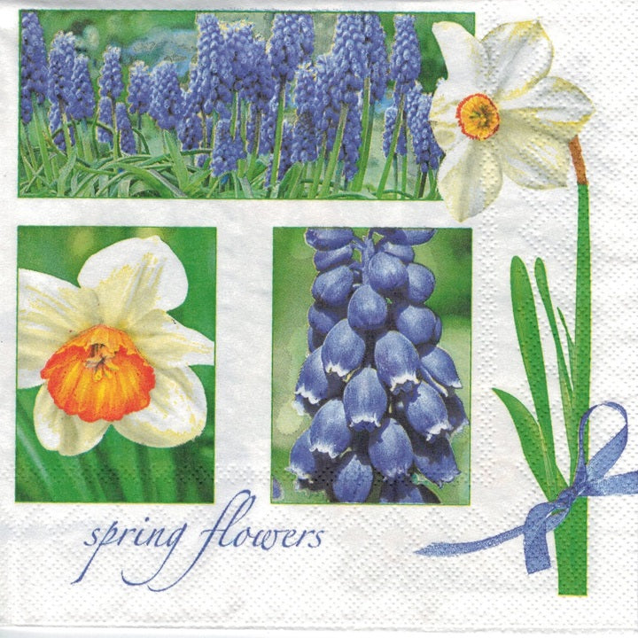 Serwetki do Decoupage - Muscari & Narcissus / 1 szt | Artmie