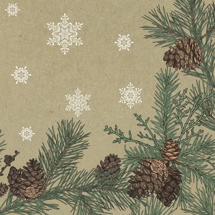 Serwetki do DecoupagePines and Twigs Frame on Kraft / 1 szt | Artmie