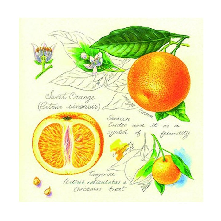 Serwetki do Decoupage - Pomarańcze / 1szt | Artmie